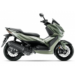 Максискутер ZONTES ZT368T-D (ZT1P79MP-A EFI 15/14 2026) ПТС (зеленый)